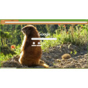 Philosopher Marmot v1  screen for extension Chrome web store in OffiDocs Chromium