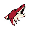 Phoenix Coyotes Browser Theme  screen for extension Chrome web store in OffiDocs Chromium