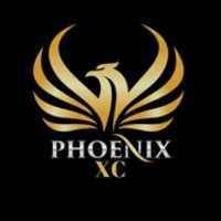 Free download PHOENIX XC LOGO free photo or picture to be edited with GIMP online image editor