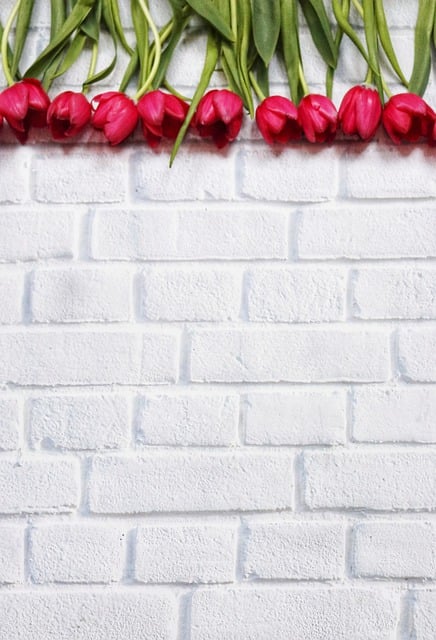 Free download phone wallpaper flowers tulips card free picture to be edited with GIMP free online image editor