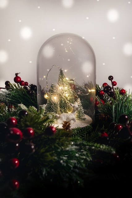 Free download phone wallpaper snow snow ball free picture to be edited with GIMP free online image editor