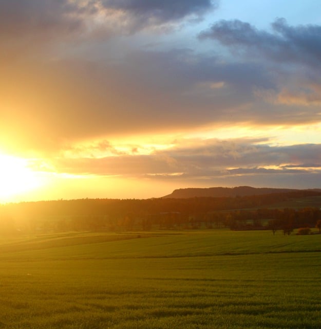 Free download phone wallpaper sunset nature rural free picture to be edited with GIMP free online image editor