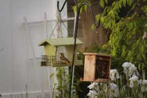 Free download Photo Batch 5/22/18 free photo or picture to be edited with GIMP online image editor