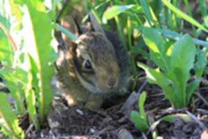 Free download Photo Batch 6/5/18 free photo or picture to be edited with GIMP online image editor