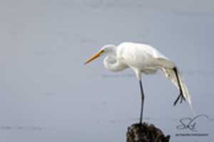 Free download Photo Batch 9/18/18 free photo or picture to be edited with GIMP online image editor