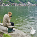 Photography and swans  screen for extension Chrome web store in OffiDocs Chromium