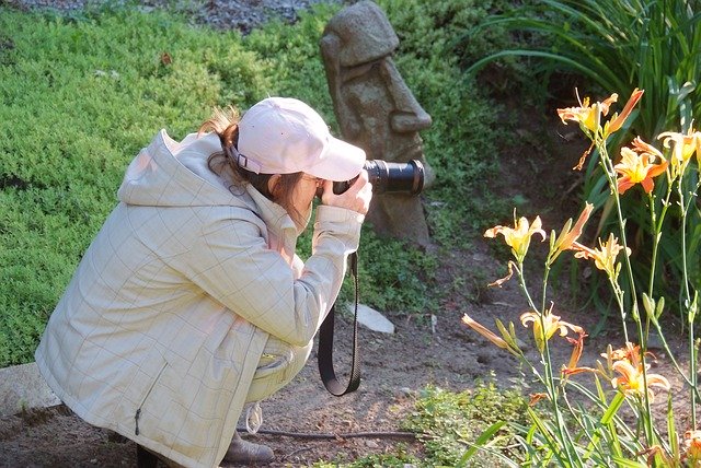 Téléchargement gratuit de Photography Flowers Bright - photo ou image gratuite à modifier avec l'éditeur d'images en ligne GIMP