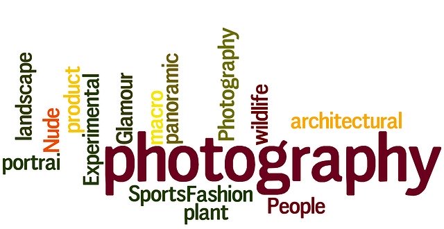 Free download Photography Photograph -  free illustration to be edited with GIMP free online image editor