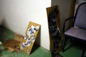 Free download Photos, Artist, Sculpter, Sarasota FL, 2013. free photo or picture to be edited with GIMP online image editor