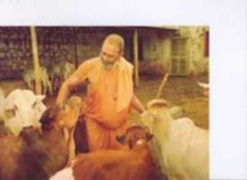 Free download Photos of Swami Ramanandaji Maharaj free photo or picture to be edited with GIMP online image editor