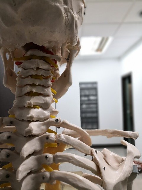 Free download Physiotherapy Osteopathy Pilates -  free photo or picture to be edited with GIMP online image editor