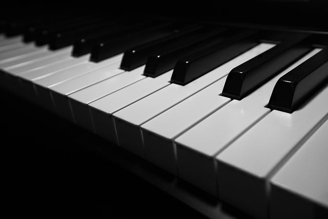 Free download piano keys black and white keyboard free picture to be edited with GIMP free online image editor