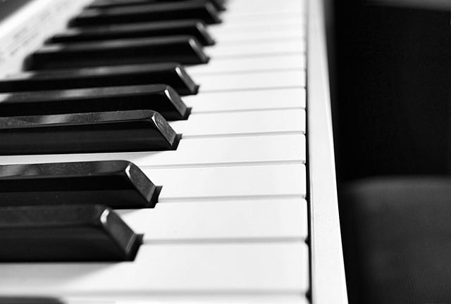 Baixe gratuitamente teclas de piano, música em preto e branco, imagem gratuita para ser editada com o editor de imagens on-line gratuito do GIMP