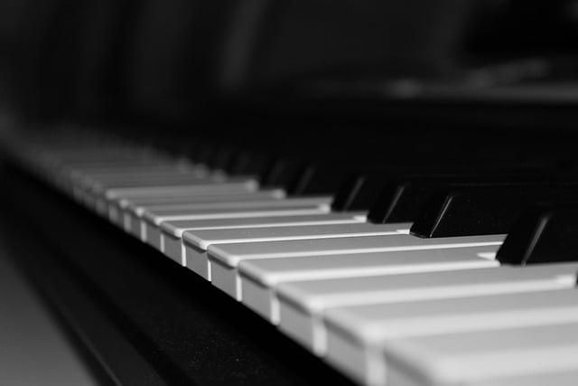 Muat turun percuma kekunci piano butang muzik piano gambar percuma untuk diedit dengan editor imej dalam talian percuma GIMP