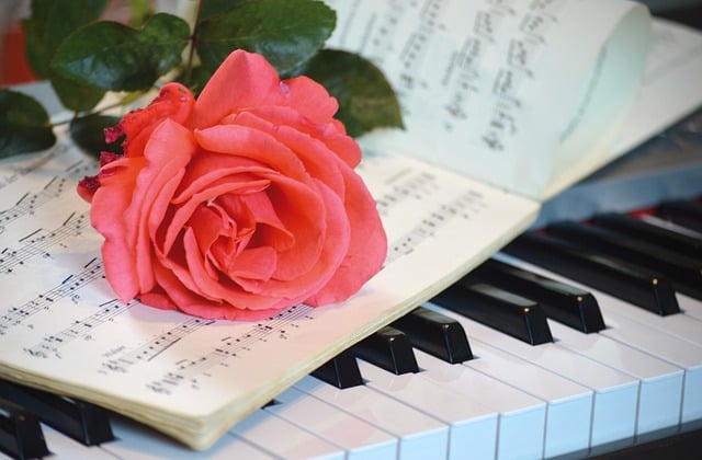Free download piano rose sheet music music songs free picture to be edited with GIMP free online image editor