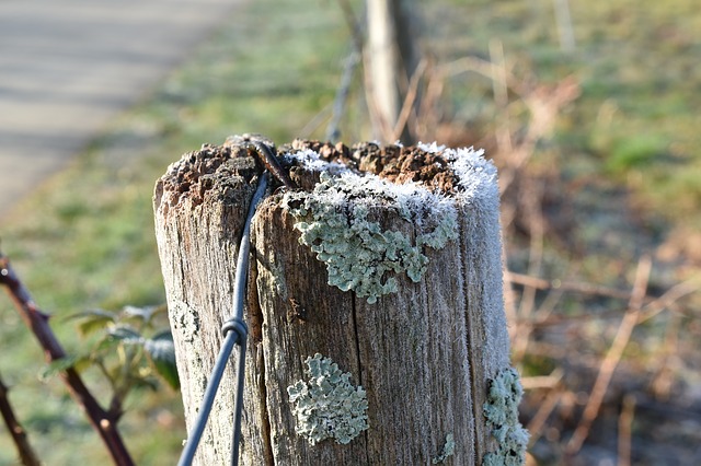 Free download Picket Closing Wood free photo template to be edited with GIMP online image editor