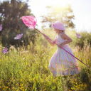 Picking flowers to catch butterflies  screen for extension Chrome web store in OffiDocs Chromium
