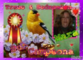 Free download picmix.com_3576129 free photo or picture to be edited with GIMP online image editor