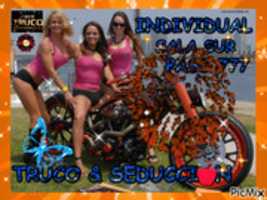 Free download picmix.com_3595765 free photo or picture to be edited with GIMP online image editor