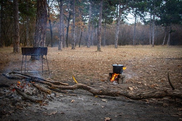 Free download Picnic Bonfire Shish Kebab -  free photo or picture to be edited with GIMP online image editor