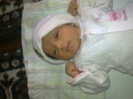 Free download Picture 545 free photo or picture to be edited with GIMP online image editor