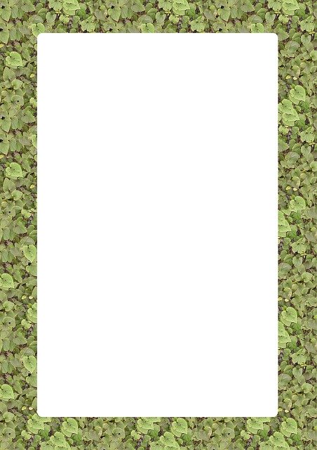 Free download Picture Frame Outline -  free illustration to be edited with GIMP free online image editor
