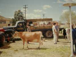 Free download Piece Junior College in California 1960/70s free photo or picture to be edited with GIMP online image editor