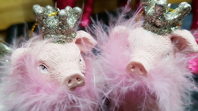 Free download Pig Crown Feather Boa -  free photo or picture to be edited with GIMP online image editor