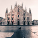 Pigeon in front of the cathedral  screen for extension Chrome web store in OffiDocs Chromium