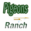 Pigeon Ranch  screen for extension Chrome web store in OffiDocs Chromium