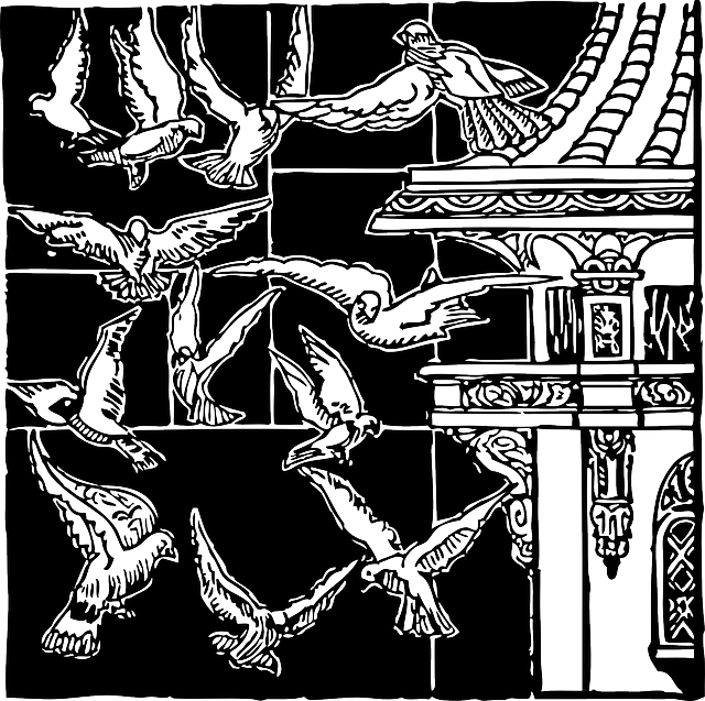 Free download Pigeons Doves Birds Flock Of - Free vector graphic on Pixabay free illustration to be edited with GIMP free online image editor