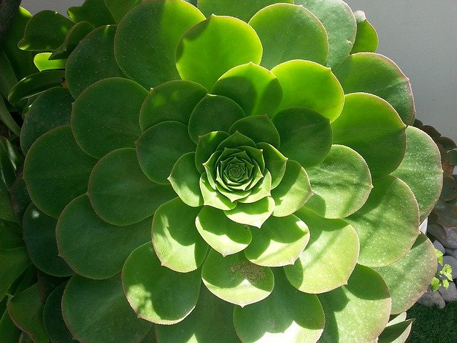 Free download pi golden ratio sacred geometry free picture to be edited with GIMP free online image editor