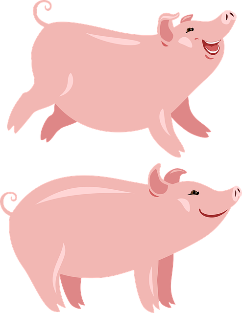 Template Photo Pigs Pig The Year OfFree vector graphic on Pixabay for OffiDocs