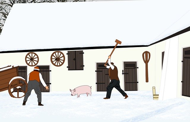 Free download Pig Winter Village -  free illustration to be edited with GIMP free online image editor