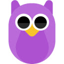PII owl  screen for extension Chrome web store in OffiDocs Chromium