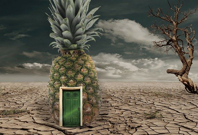 Free download Pineapple Desert Sponge Bob -  free photo or picture to be edited with GIMP online image editor