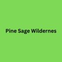 Pine Sage Wilderness  screen for extension Chrome web store in OffiDocs Chromium