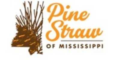 Free download Pinestraw Of Mississippi free photo or picture to be edited with GIMP online image editor