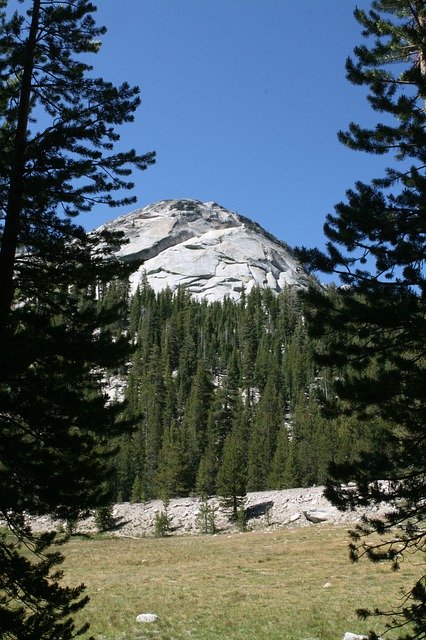 Muat turun percuma Pine Trees Nature Mountain - foto atau gambar percuma untuk diedit dengan editor imej dalam talian GIMP