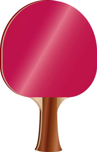 Free download Pingpongpaddle Pingpong Paddle - Free vector graphic on Pixabay free illustration to be edited with GIMP free online image editor