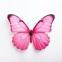 pink butterfly wallpaper  screen for extension Chrome web store in OffiDocs Chromium