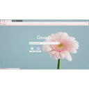 Pink gerbera up close  screen for extension Chrome web store in OffiDocs Chromium