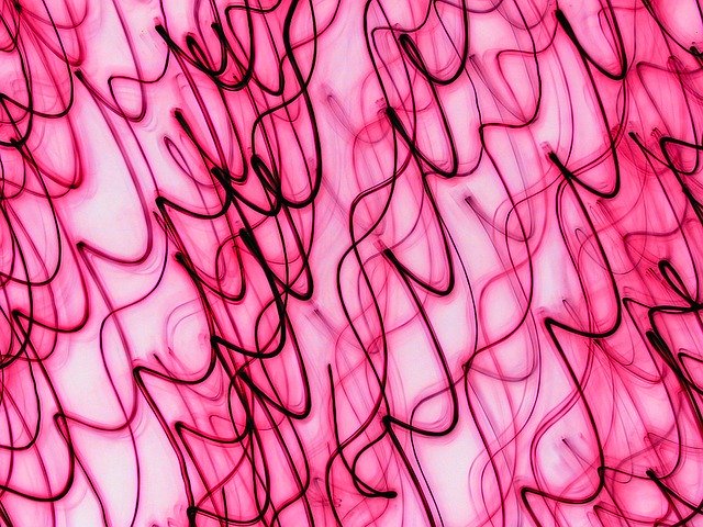 دانلود رایگان Pink Magenta Color - تصویر رایگان برای ویرایش با ویرایشگر تصویر آنلاین رایگان GIMP