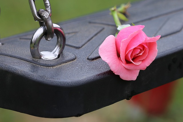 Free download pink rose empty swing free picture to be edited with GIMP free online image editor