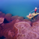 Pink shadow on the river  screen for extension Chrome web store in OffiDocs Chromium