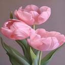 Pink tulips wallpaper  screen for extension Chrome web store in OffiDocs Chromium