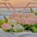 pink white tulip wallpaper  screen for extension Chrome web store in OffiDocs Chromium
