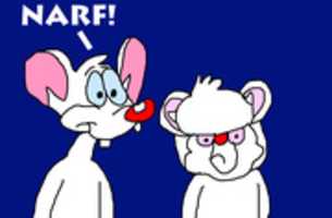 Free download Pinky And The Brain free photo or picture to be edited with GIMP online image editor