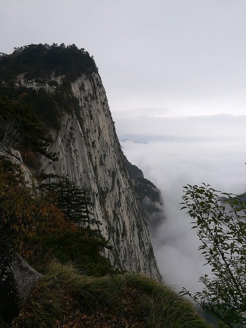 Descărcare gratuită Pinus Armandii Cloud - fotografie sau imagine gratuită pentru a fi editată cu editorul de imagini online GIMP