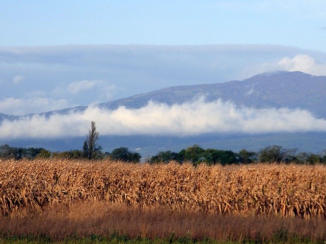 무료 다운로드 Plain France Alsace - 무료 사진 또는 김프 온라인 이미지 편집기로 편집할 수 있는 사진